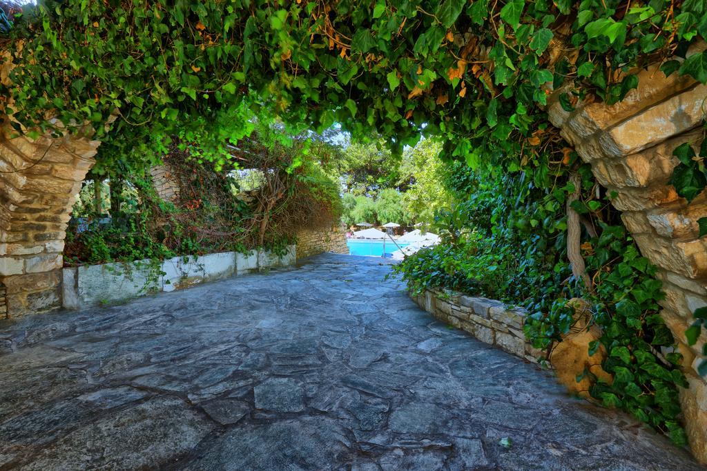 锡蒂亚海滩城市度假村及水疗中心 外观 照片 A street in Chania